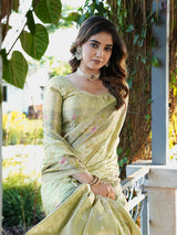 Pista Green Organza Zari Woven Patola Saree