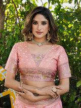 Pink Organza Zari Woven Patola Saree