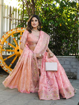 Pink Organza Zari Woven Patola Saree