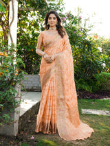Peach Organza Zari Woven Patola Saree