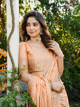 Peach Organza Zari Woven Patola Saree