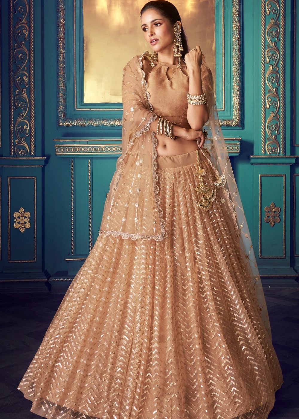 Sepia Beige Designer Soft Net Lehenga Choli with Sequin work