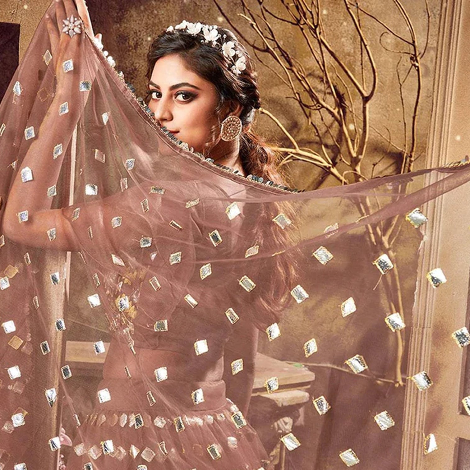 Sepia skin color Soft Net Lehenga choli