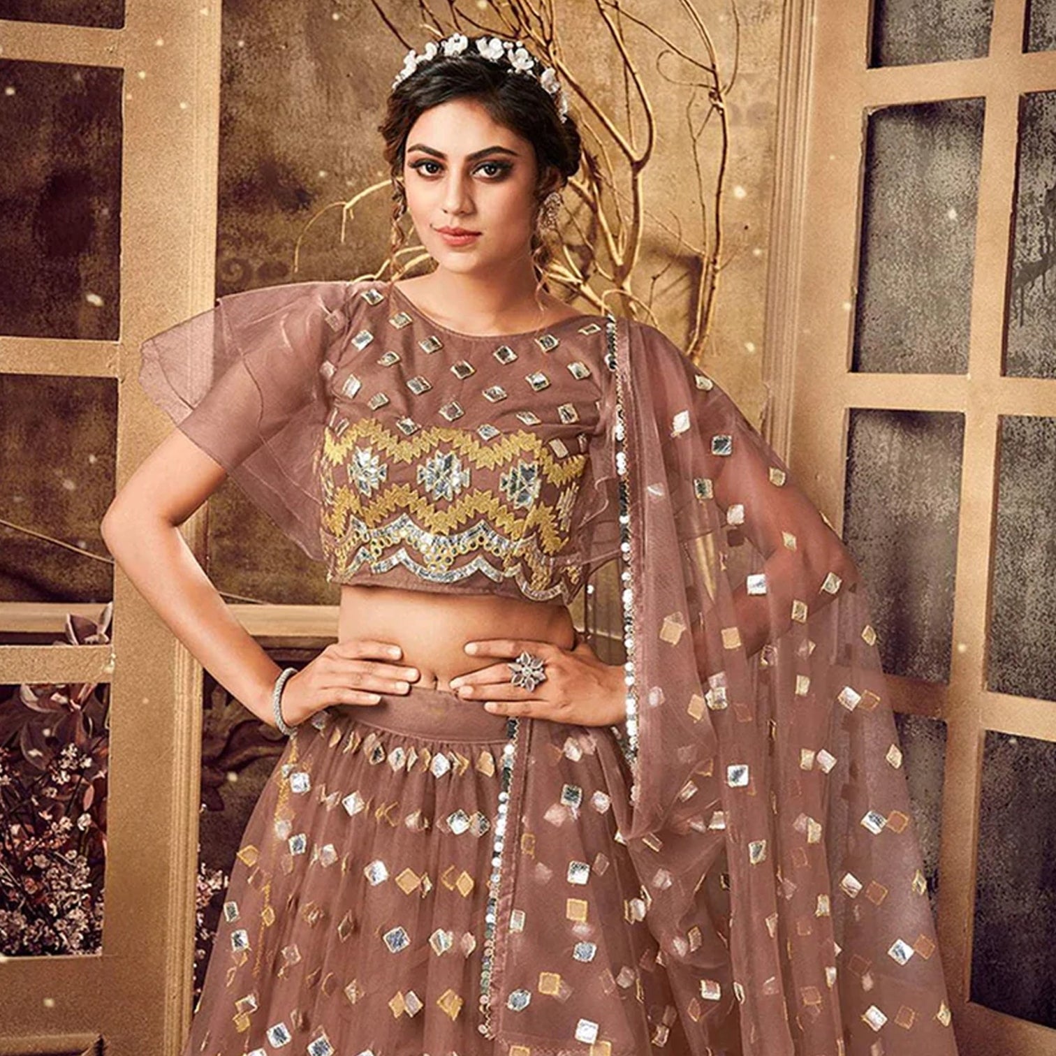 Sepia skin color Soft Net Lehenga choli