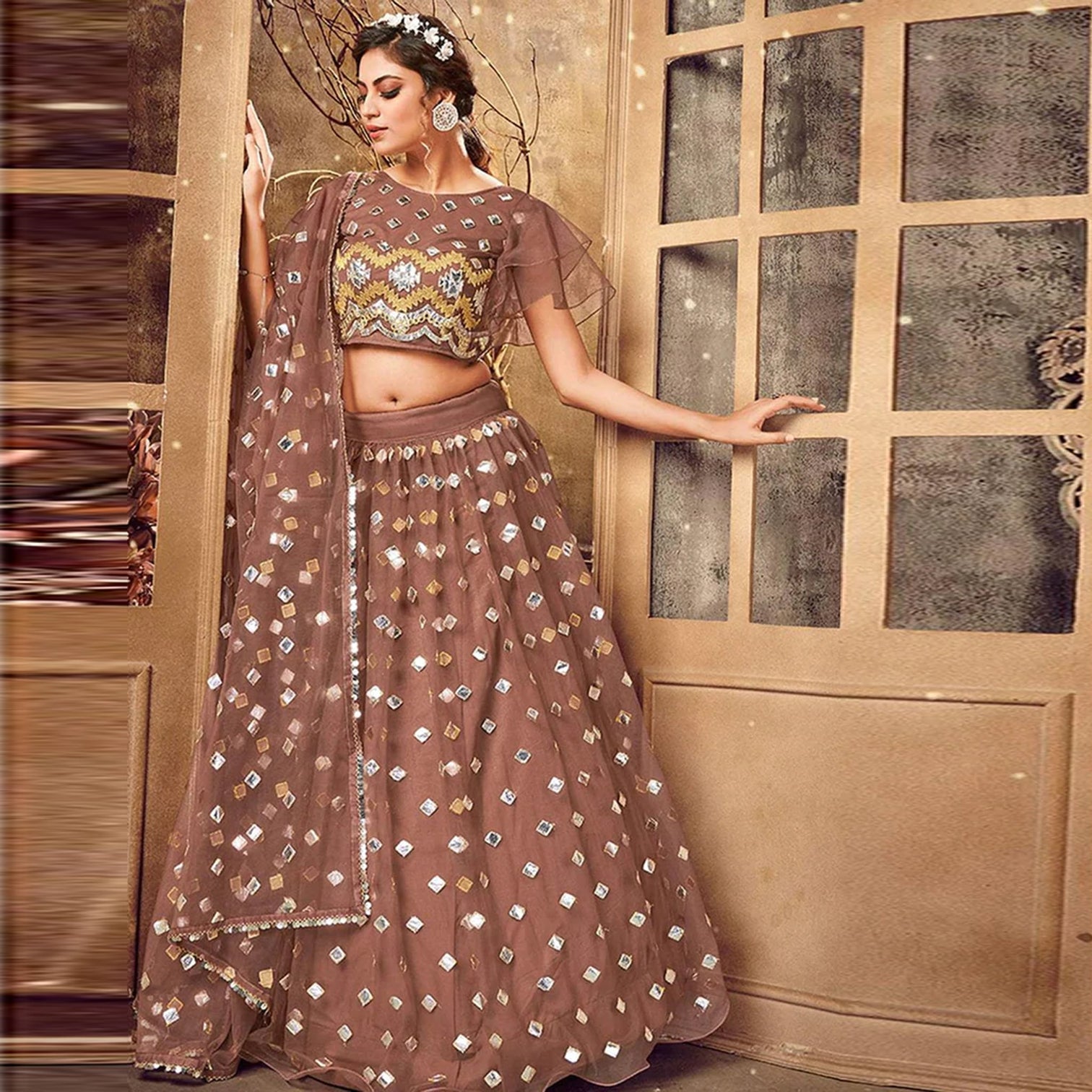 Sepia skin color Soft Net Lehenga choli