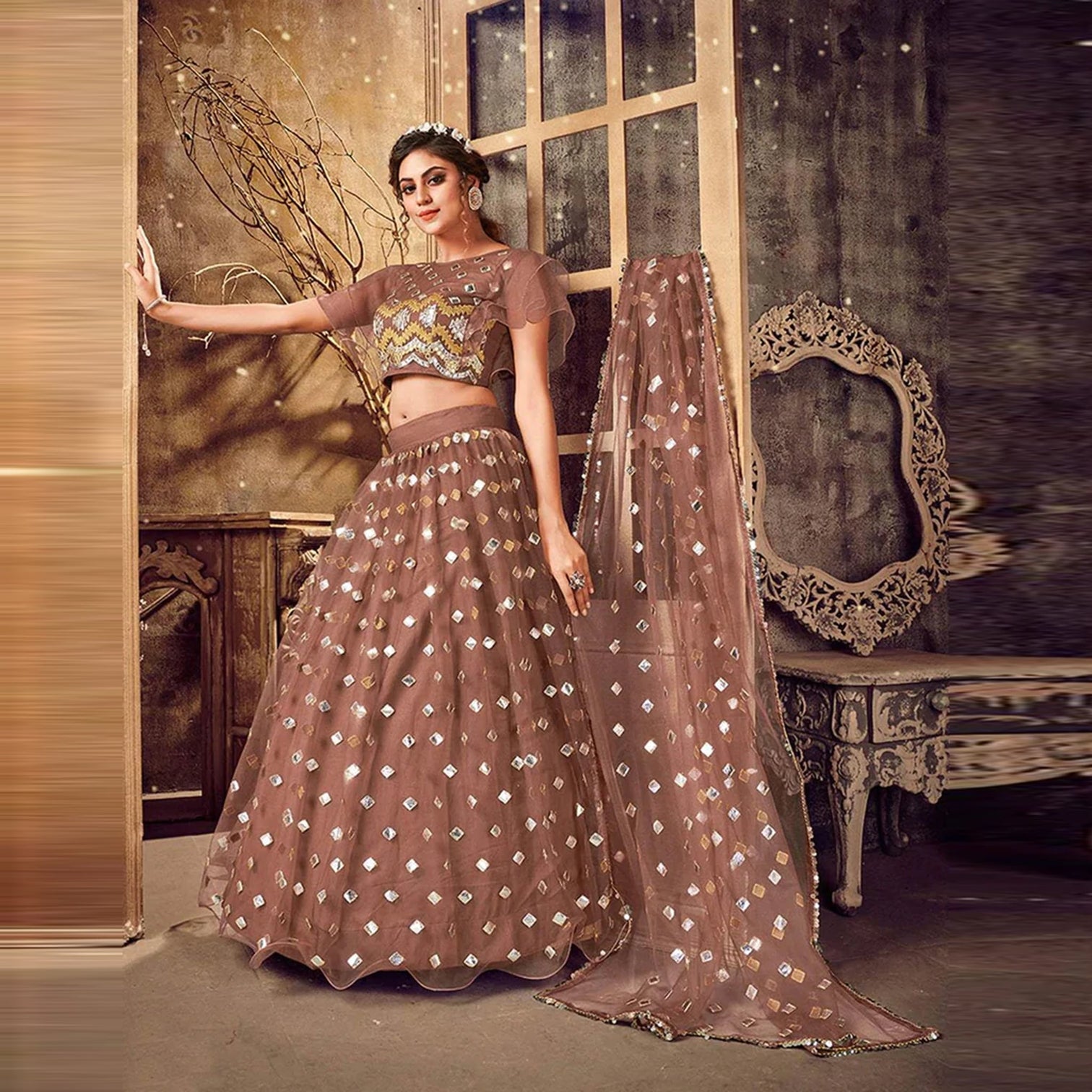 Sepia skin color Soft Net Lehenga choli