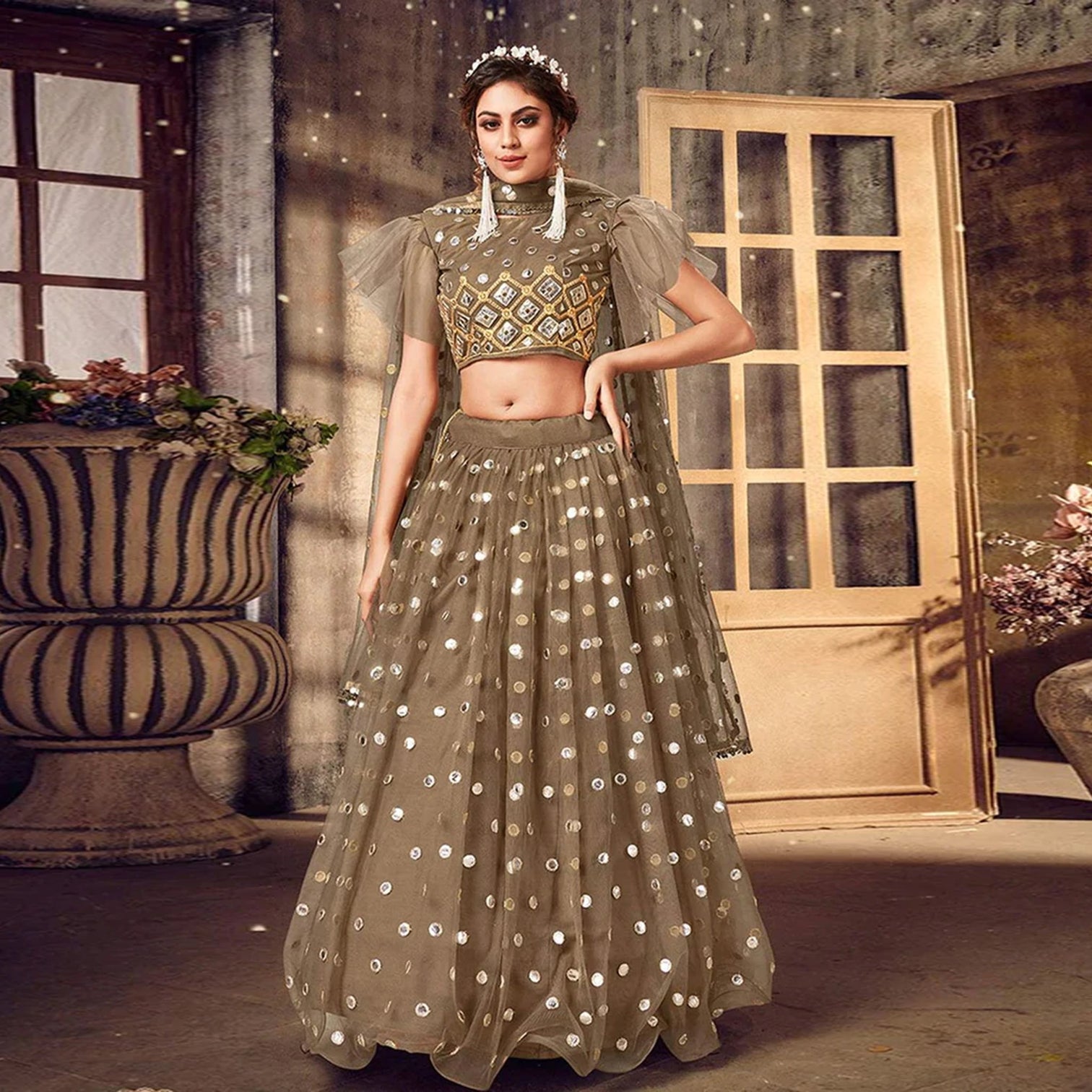 Brownish Grey Soft Net Lehenga choli