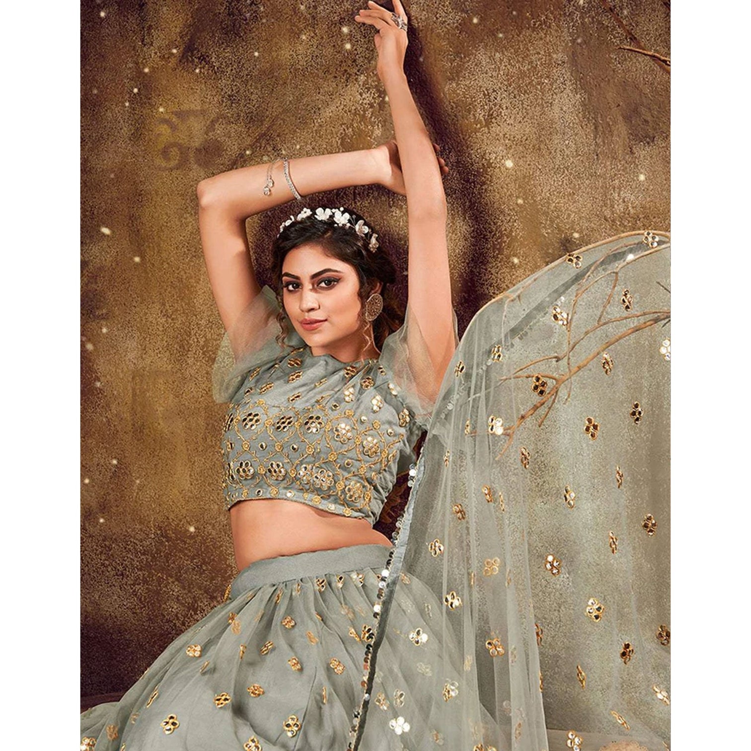 Natural Grey Soft Net Lehenga choli