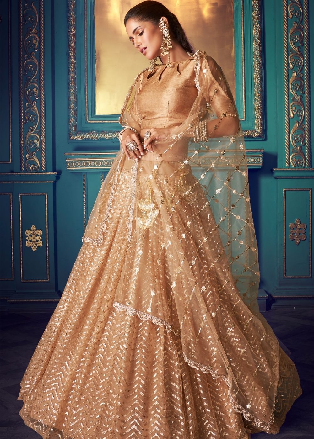 Sepia Beige Designer Soft Net Lehenga Choli with Sequin work