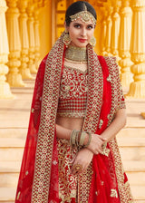 Crimson Red Velvet Bridal Lehenga Choli with Embroidery & Hand work
