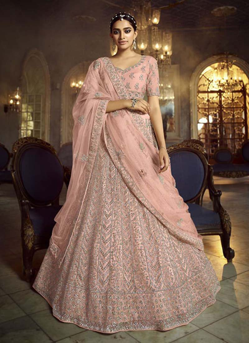 Majestic Peach Dori Work Soft Net base Panelled Lehenga Choli Set