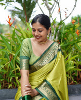 Evanescent Parrot Soft Silk Saree With Chatoyant Blouse Piece