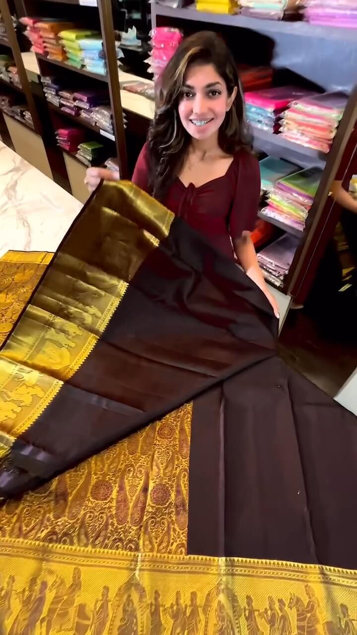Gratifying Brown Soft Banarasi Silk Saree With Alluring Blouse Piece