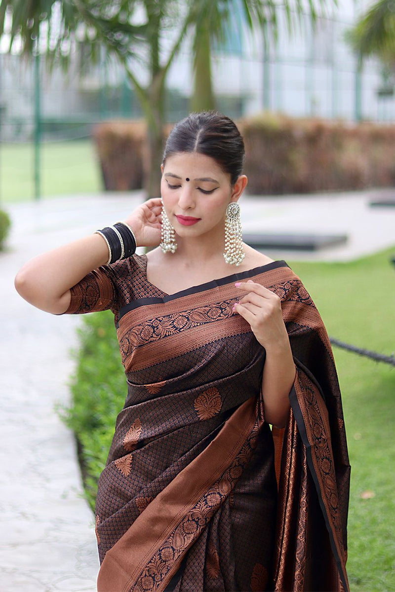 Fantabulous Black Soft Banarasi Silk Saree With Energetic Blouse Piece