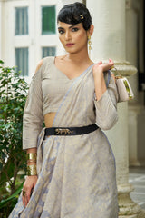 Supernal Grey Lucknowi Silk Saree With Glittering Blouse Piece