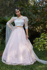 Designer Bollywood Style Lehenga Choli, Dupatta Party Wear Wedding Wear Bridal Lengha Blouse Indian Lengaha Choli Custom Semi Stiched Lehengha