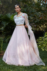 Designer Bollywood Style Lehenga Choli, Dupatta Party Wear Wedding Wear Bridal Lengha Blouse Indian Lengaha Choli Custom Semi Stiched Lehengha
