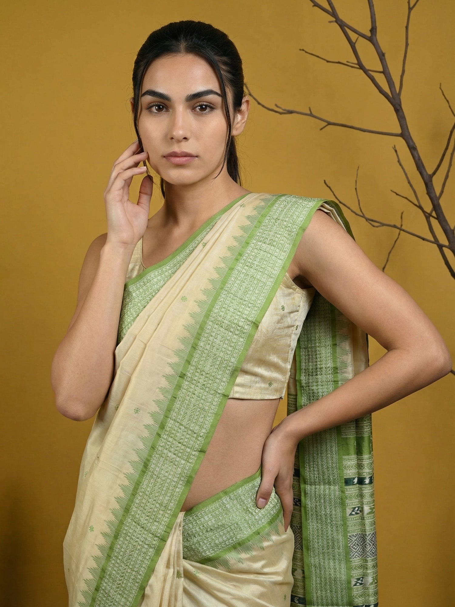 Handloom Soft Silk Saree with Zari Woven Motifs Contrast Traditional Border and Rich Pallu