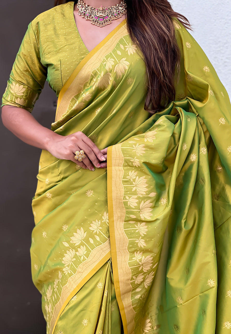 Mehendi green zari woven pichwai silk saree
