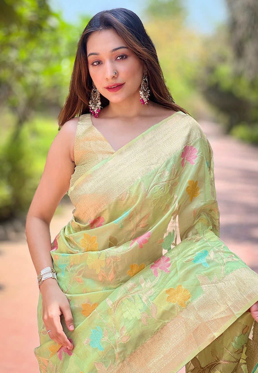 Mint green organza meenakari floral jaal zari woven saree