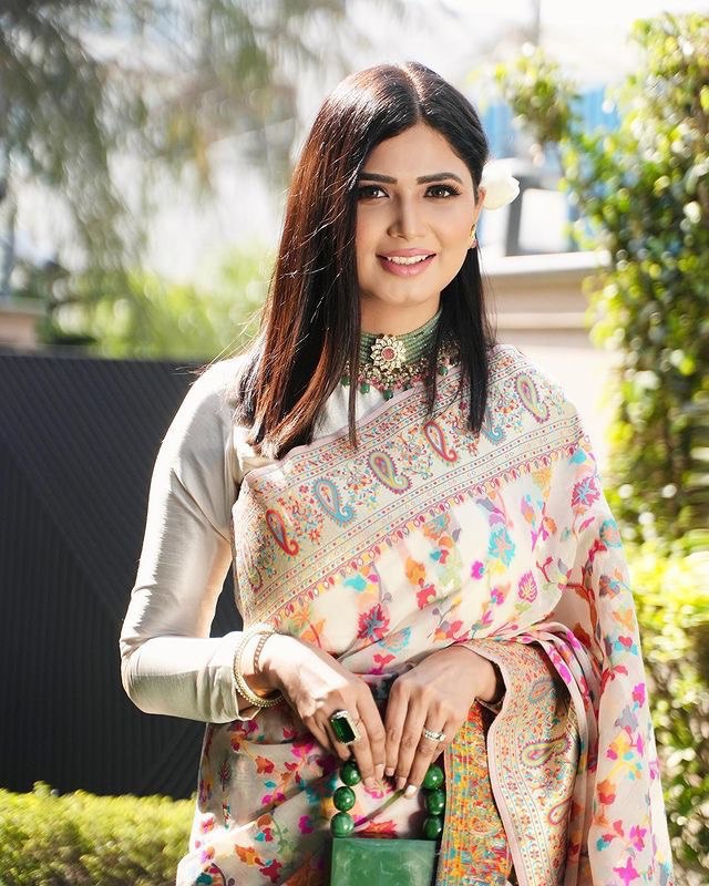 Kashmiri pashmina cotton kachhi work multi thrade saree