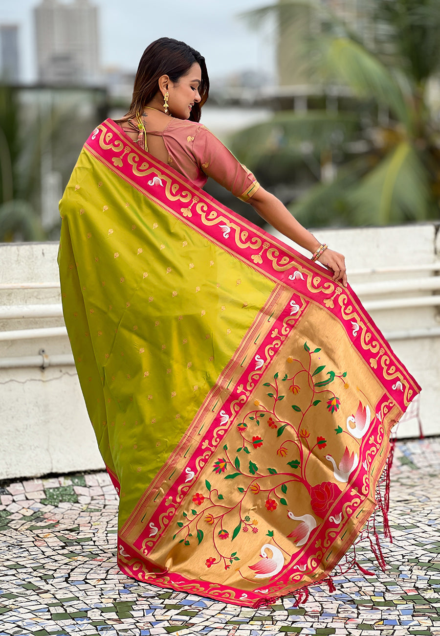 Mehendi green zari woven rajhans swan paithani silk saree
