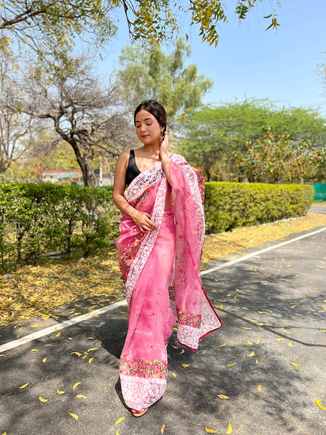 Pink Saree in Organza Lucknowi Chikankari Multicolor Viscose Work