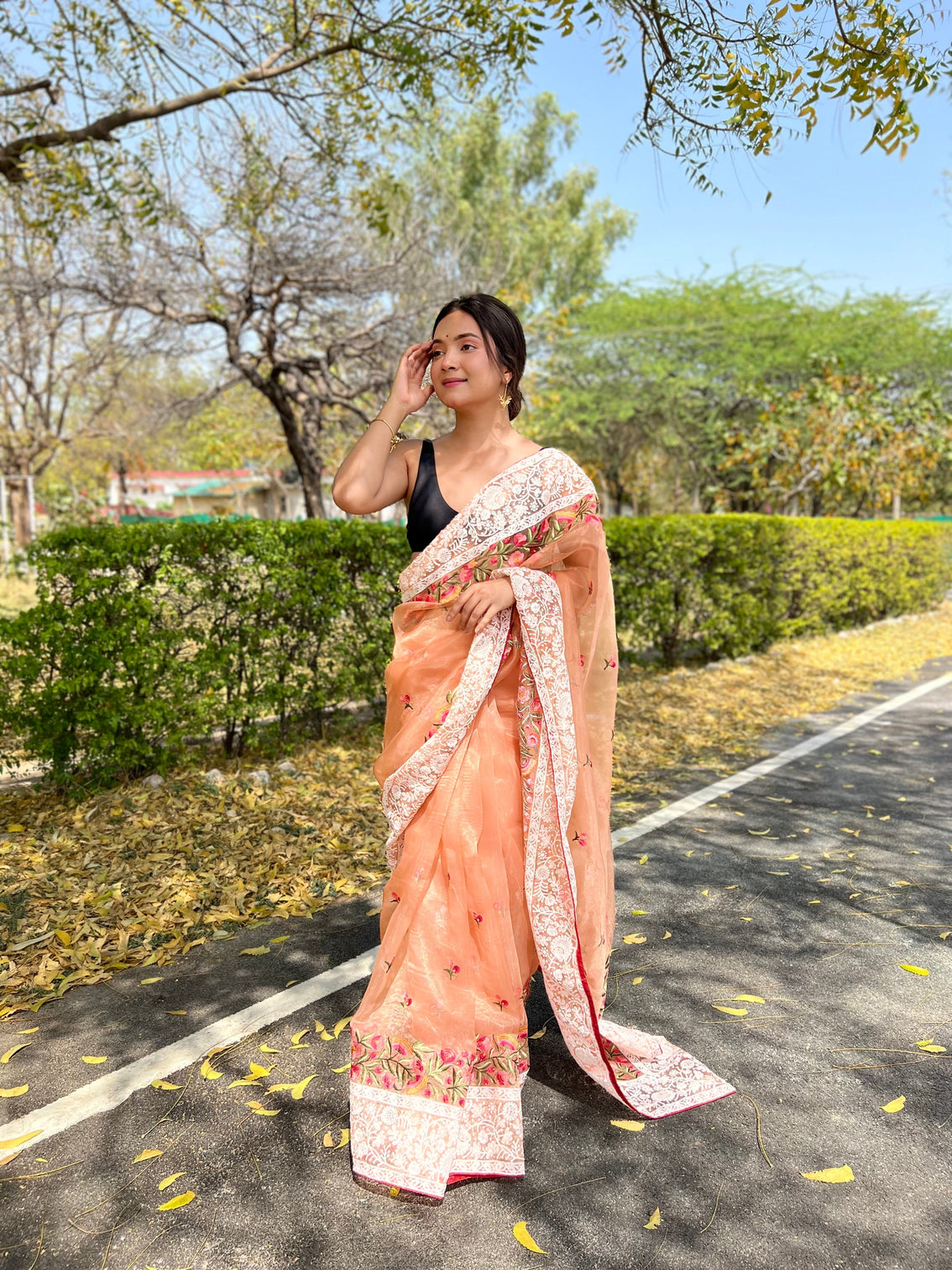 Peach Saree in Organza Lucknowi Chikankari Multicolor Viscose Work
