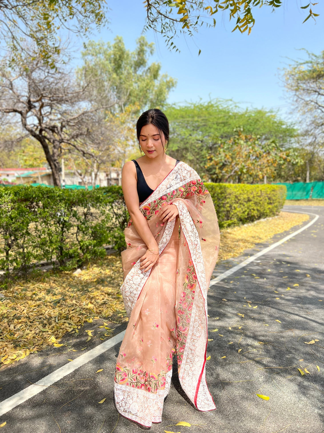Taupe Saree in Organza Lucknowi Chikankari Multicolor Viscose Work
