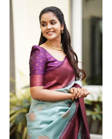 Magnetic Sky Soft Silk Saree With Felicitous Blouse Piece