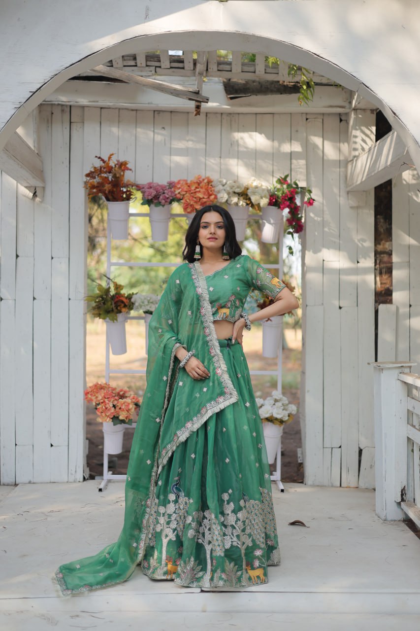 Elegant and Outstanding Embroidered Lehenga Choli