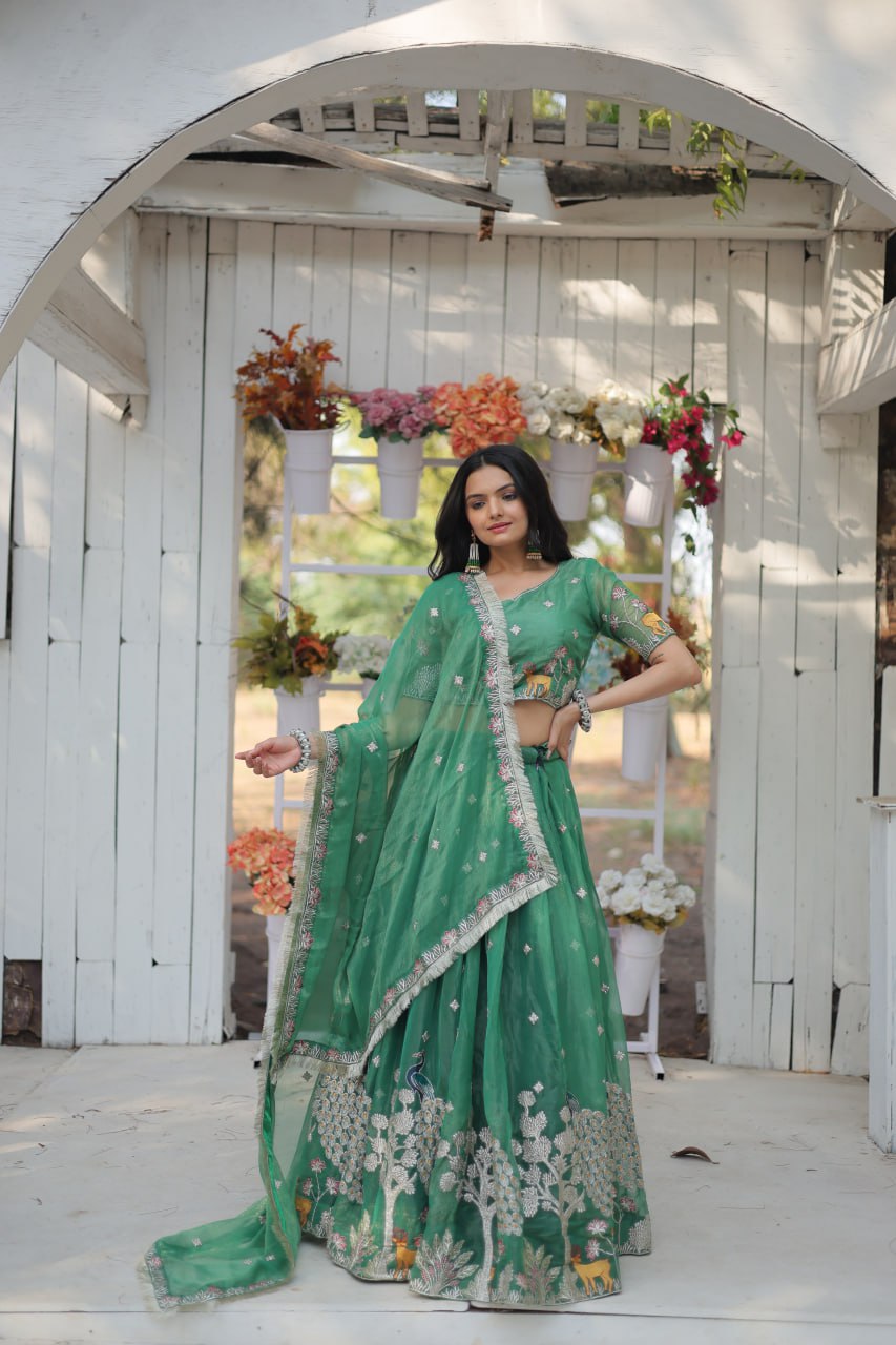 Elegant and Outstanding Embroidered Lehenga Choli