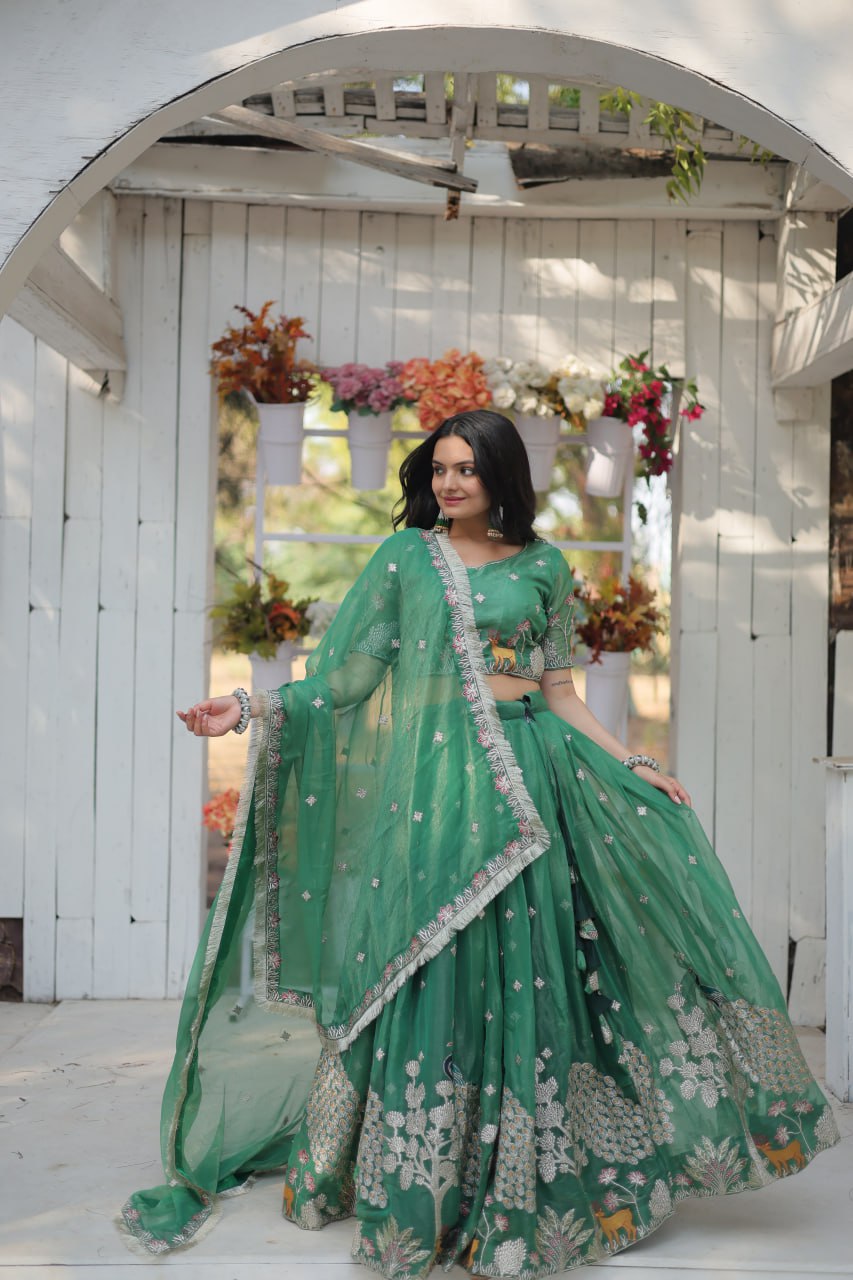 Elegant and Outstanding Embroidered Lehenga Choli