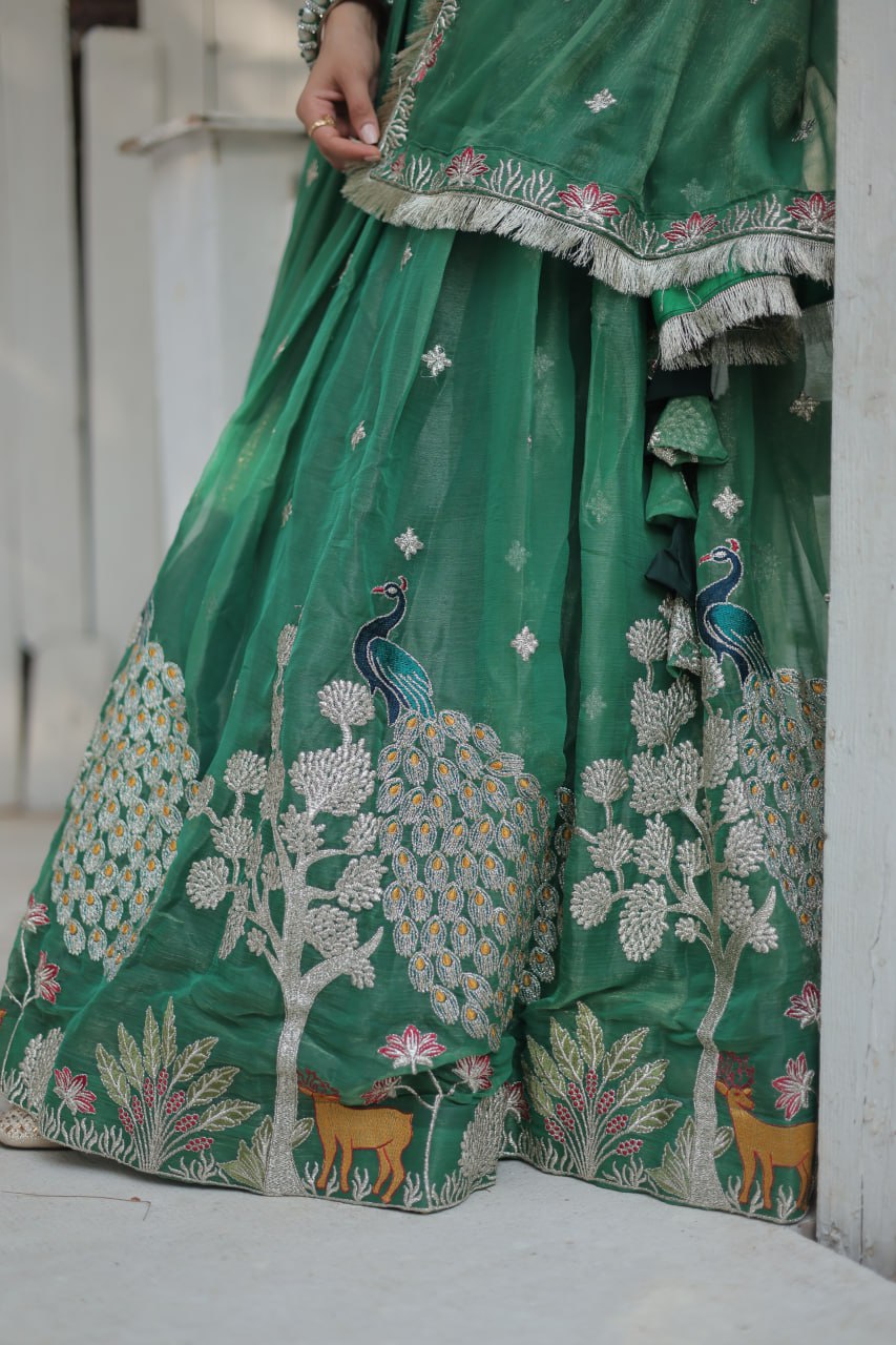 Elegant and Outstanding Embroidered Lehenga Choli