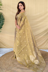 Luxuriant Dark Beige Banarasi Tissue Silk Saree With Bucolic Blouse Piece