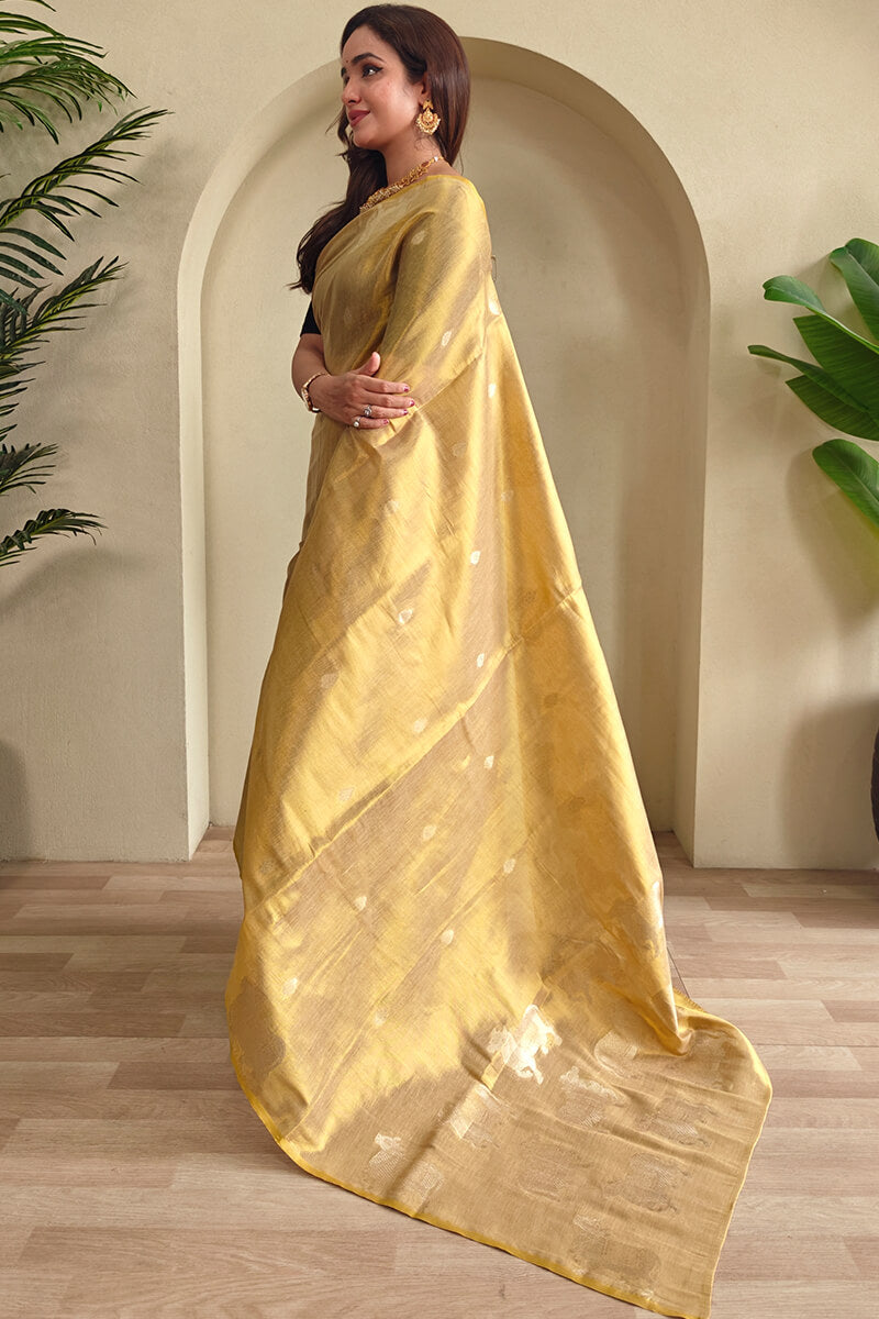 Rhapsody Dark Beige Soft Banarasi Tissue Silk Saree With Ethnic Blouse Piece