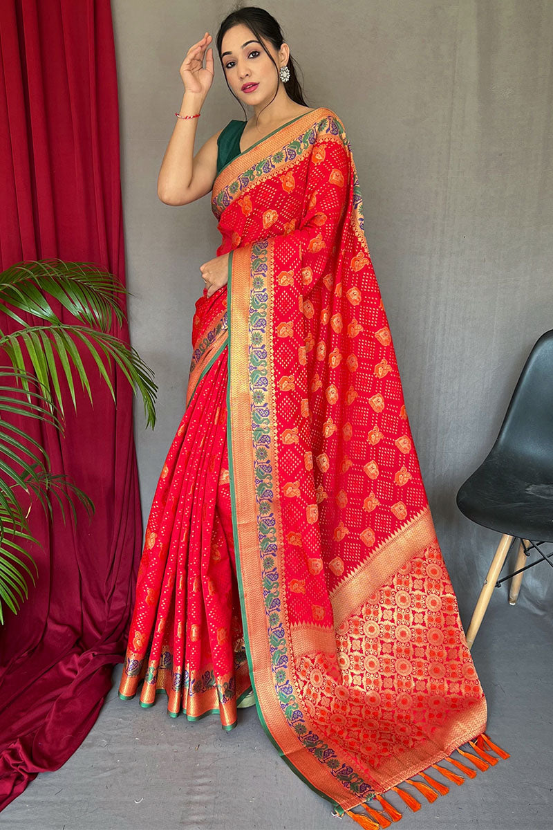 Angelic Red Patola Silk Saree with Entrancing Blouse Piece