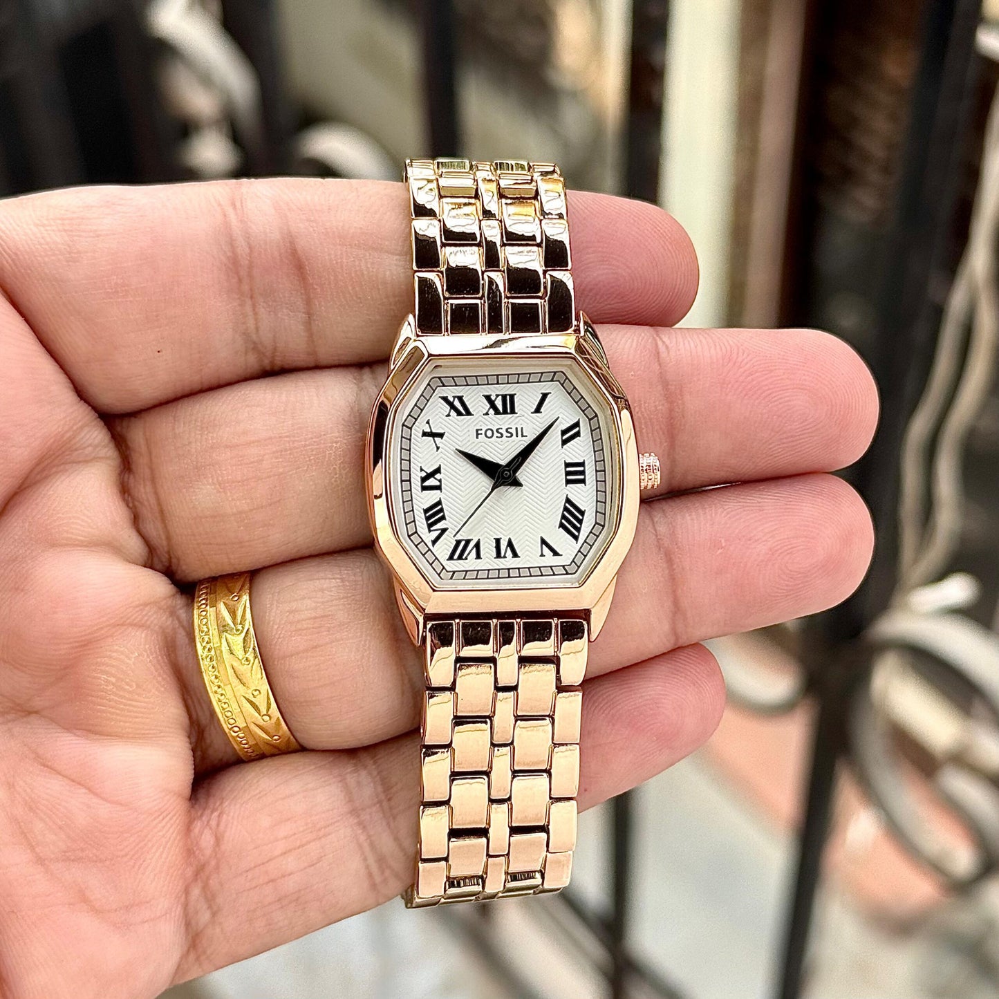 Fossil Harlow Quartz Series