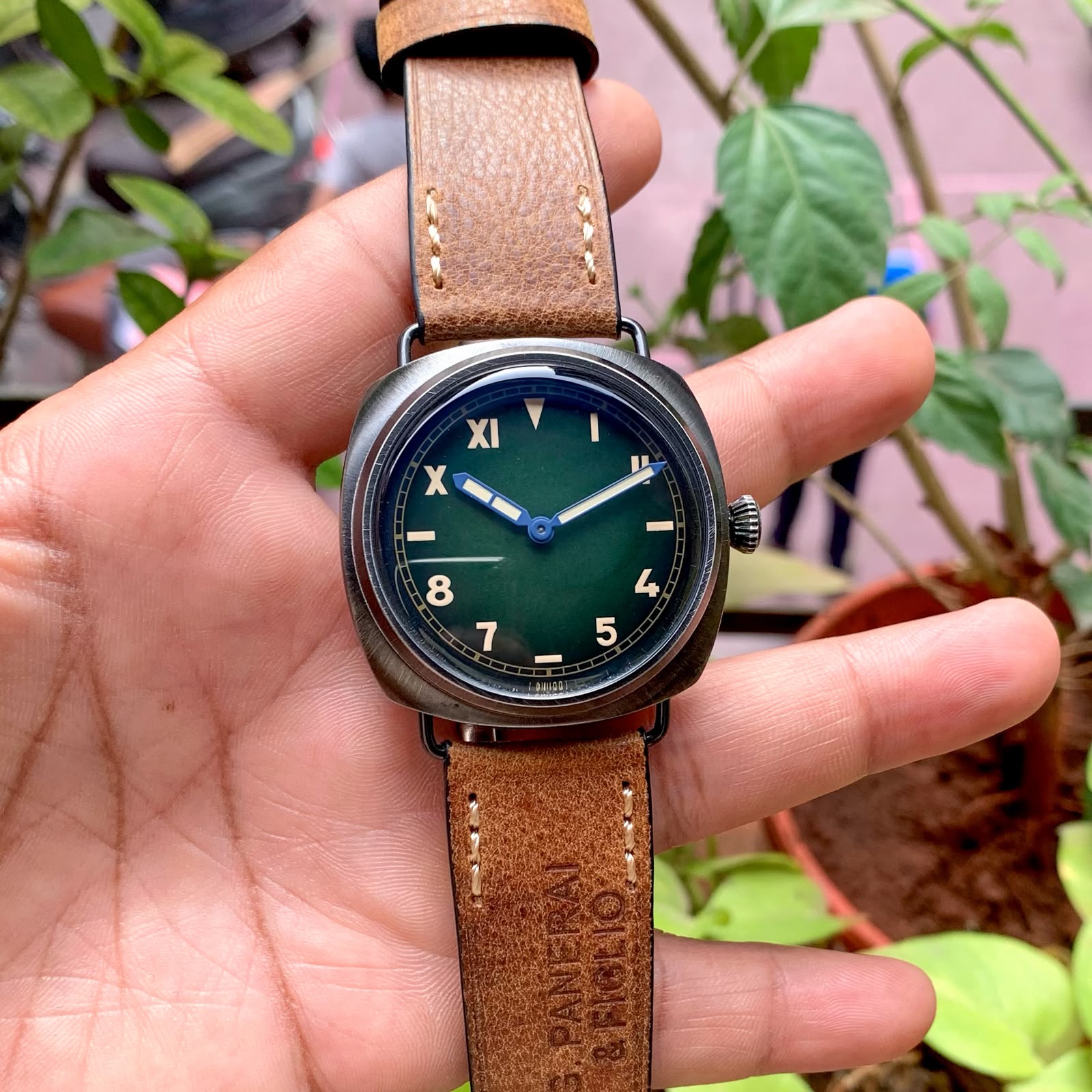 Panerai Radiomir California Green Black Dial