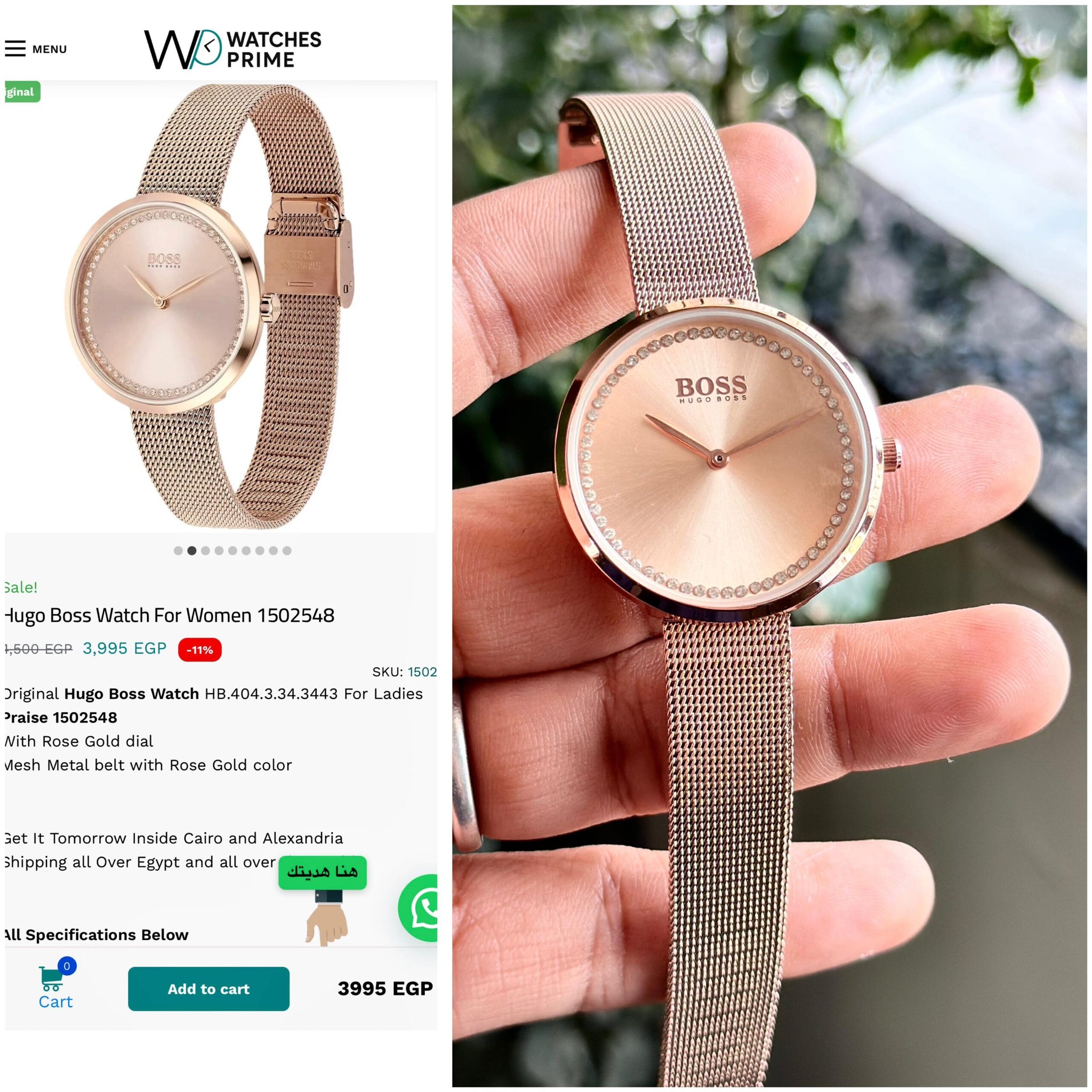 Hugo Boss Rose Gold