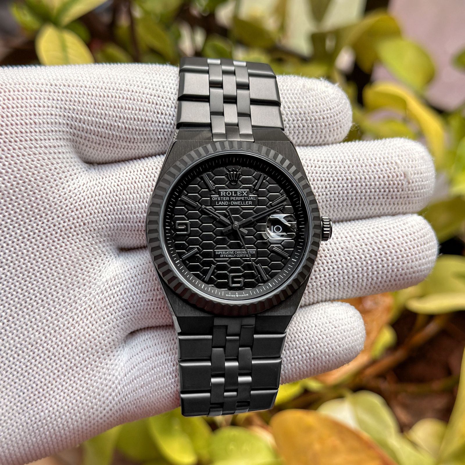Rolex Land-Dweller Black Dial