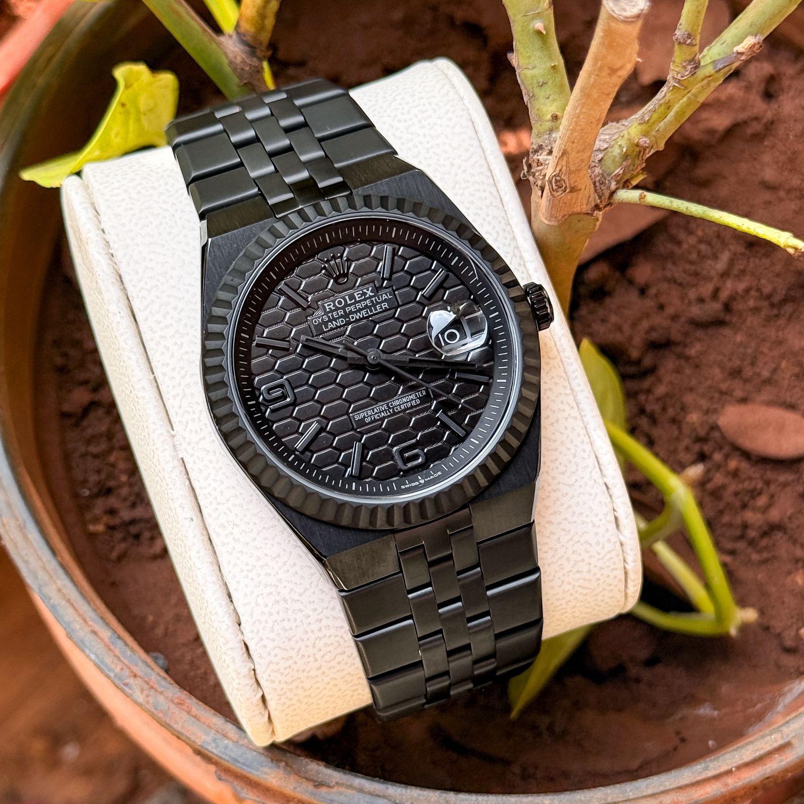 Rolex Land-Dweller Black Dial