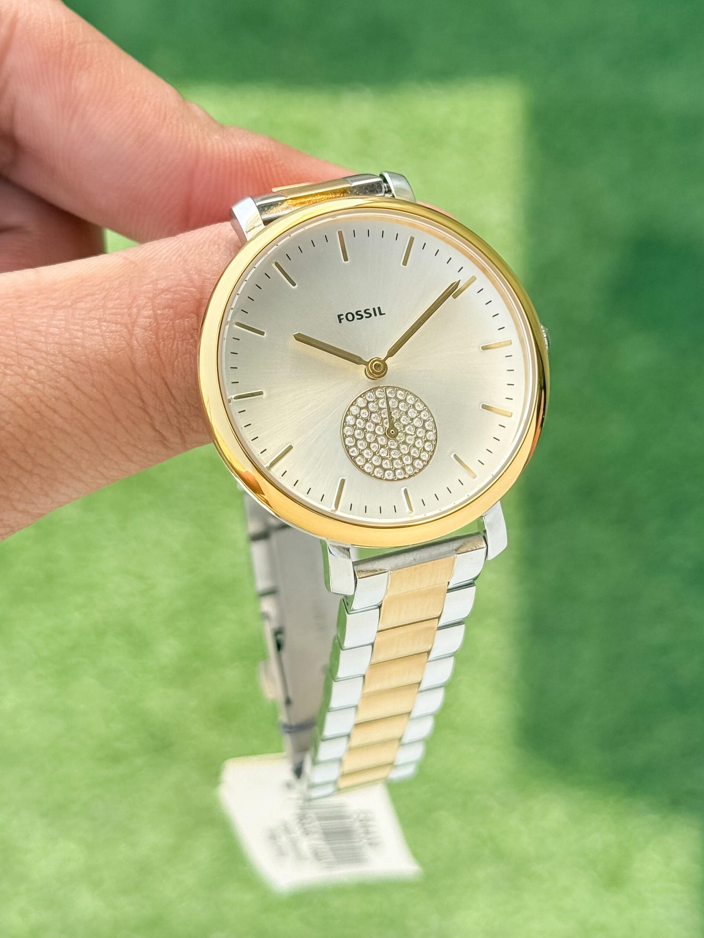Fossil Gold-Tone Quartz