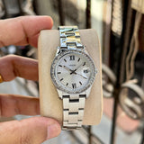 Fossil Sunray Scarlette Series