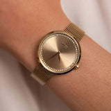 Hugo Boss Praise Golden Edition