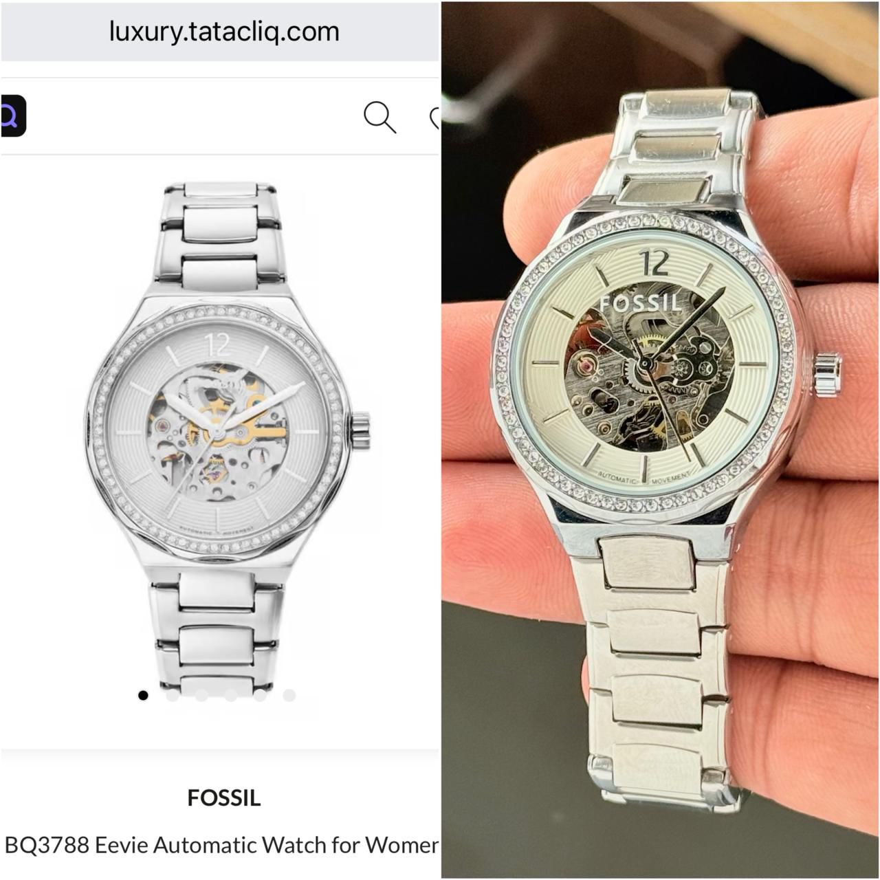 Fossil Eevie Skeleton Automatic