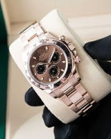 Rolex Daytona Coffee Brown Rose Gold