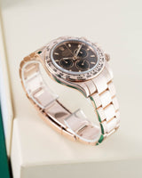 Rolex Daytona Coffee Brown Rose Gold
