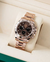 Rolex Daytona Coffee Brown Rose Gold