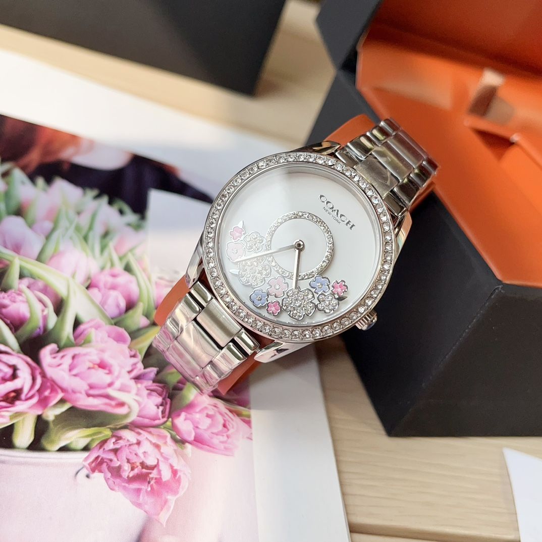 Coach Delancey Silver White Dial